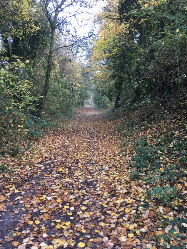 Rtail running off road irunoffroad trails run runner